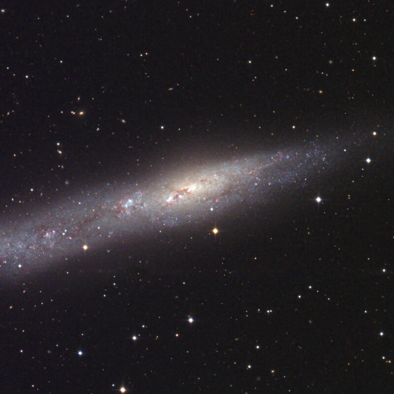 NGC 55 Perlenschnur Galaxy 800x800 - Galaxien der SH