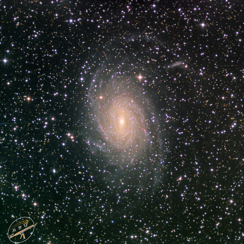 NGC6744 Galaxie LRGB scaled 800x800 - Galaxien der SH