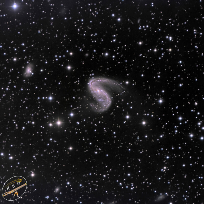 NGC2442 Galaxie LRGB scaled 800x800 - Galaxien der SH