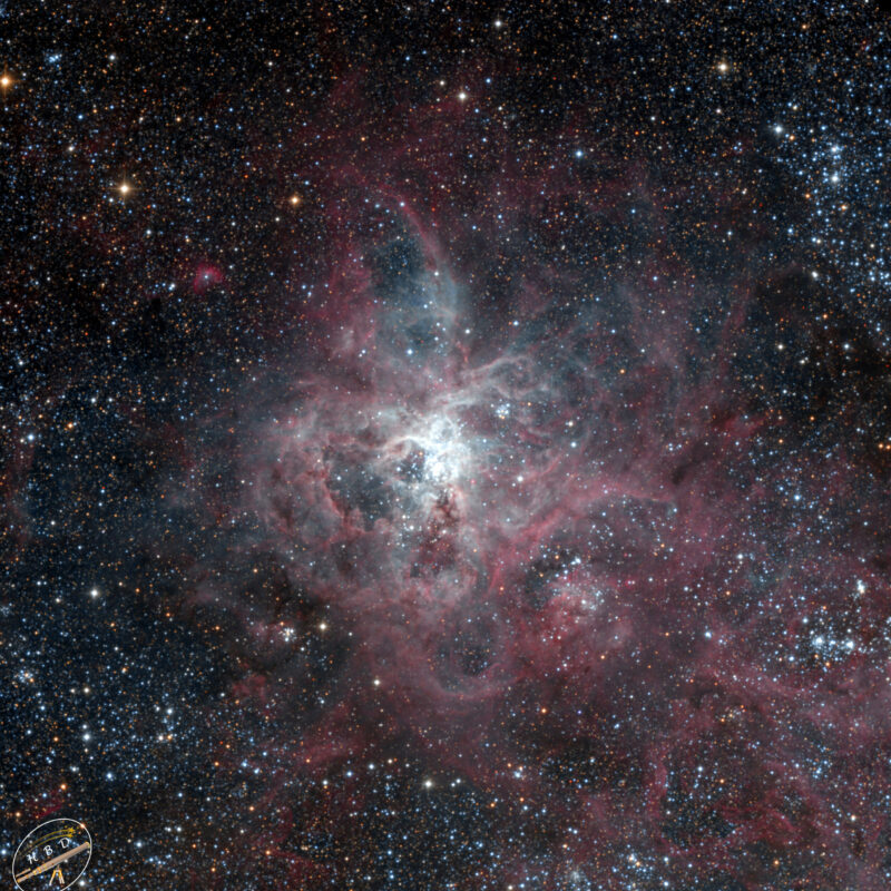 NGC2070 Tarantula Nebula in LMC LRGB scaled 800x800 - Nebel der SH