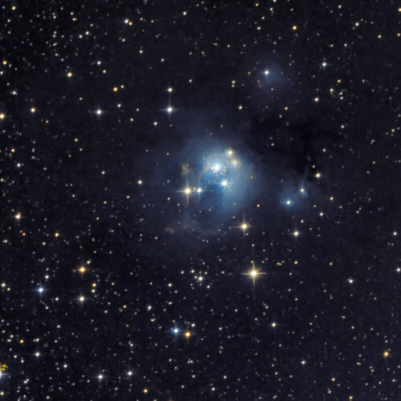 NGC 7129 Reflexionsnebel LRGB 10. 20.10.22 N10 183 122x240s scaled 800x800 - Reflexionsnebel