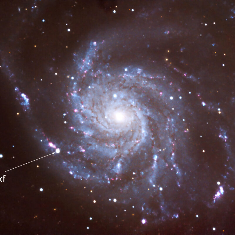 M101 SN2023ixf SPA 2 CMOS 80pics je 120s 23xL15xB16xG26xR 23.6. 21.7.2023 800x800 - Galaxien