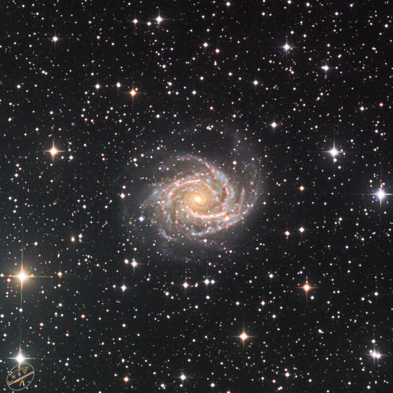 NGC2997 CHI 1 Galaxis 32x10 ges.5h20 je8xLRGB 15.3.21 6.1.2022 800x800 - Galaxien der SH