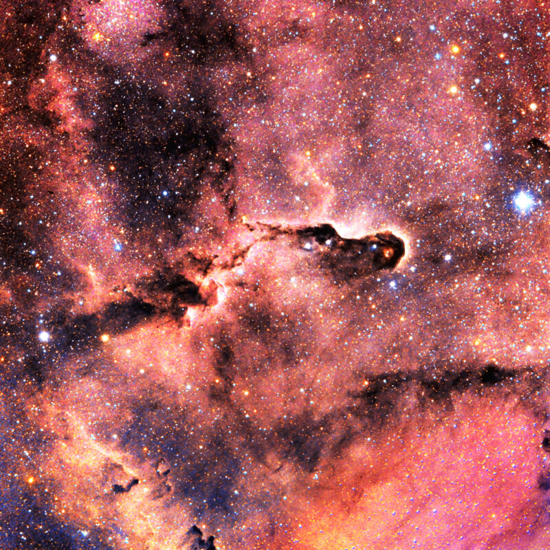 IC 1396, Elefantenrüssel-Nebel-Ausschnitt